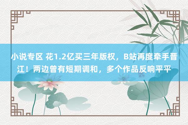 小说专区 花1.2亿买三年版权，B站再度牵手晋江！两边曾有短期调和，多个作品反响平平