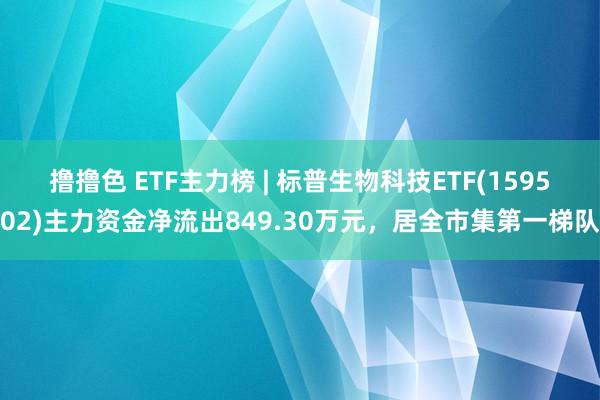 撸撸色 ETF主力榜 | 标普生物科技ETF(159502)主力资金净流出849.30万元，居全市集第一梯队