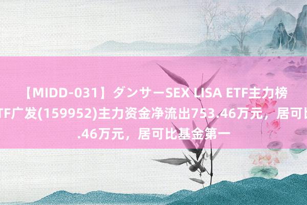 【MIDD-031】ダンサーSEX LISA ETF主力榜 | 创业板ETF广发(159952)主力资金净流出753.46万元，居可比基金第一