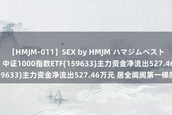 【HMJM-011】SEX by HMJM ハマジムベスト09 6時間 ETF主力榜 | 中证1000指数ETF(159633)主力资金净流出527.46万元 居全阛阓第一梯队