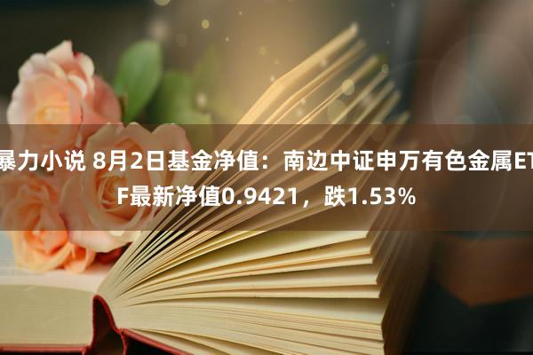 暴力小说 8月2日基金净值：南边中证申万有色金属ETF最新净值0.9421，跌1.53%