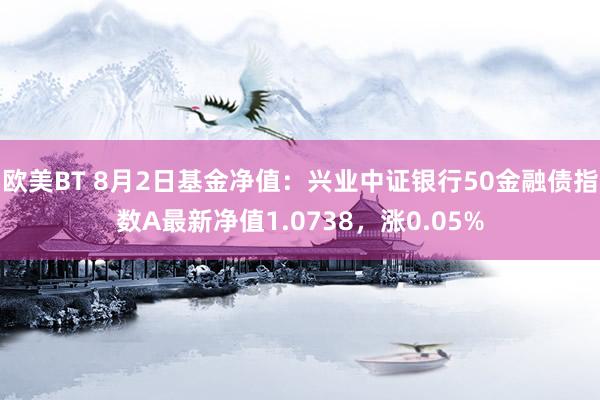 欧美BT 8月2日基金净值：兴业中证银行50金融债指数A最新净值1.0738，涨0.05%