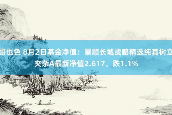 哥也色 8月2日基金净值：景顺长城战略精选纯真树立夹杂A最新净值2.617，跌1.1%