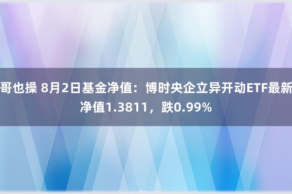 哥也操 8月2日基金净值：博时央企立异开动ETF最新净值1.3811，跌0.99%