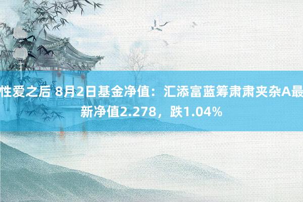 性爱之后 8月2日基金净值：汇添富蓝筹肃肃夹杂A最新净值2.278，跌1.04%