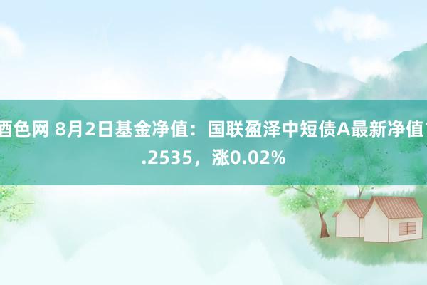 酒色网 8月2日基金净值：国联盈泽中短债A最新净值1.2535，涨0.02%