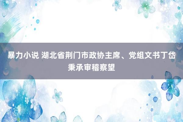 暴力小说 湖北省荆门市政协主席、党组文书丁岱秉承审稽察望