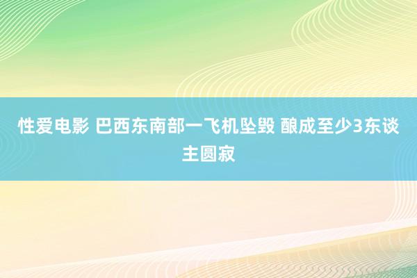 性爱电影 巴西东南部一飞机坠毁 酿成至少3东谈主圆寂