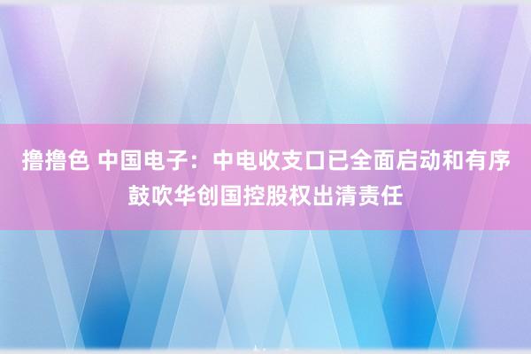 撸撸色 中国电子：中电收支口已全面启动和有序鼓吹华创国控股权出清责任