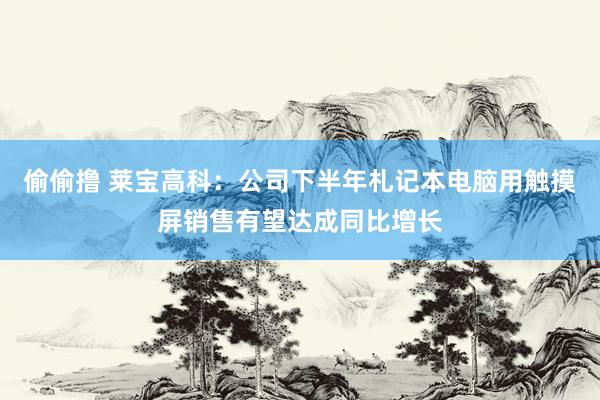 偷偷撸 莱宝高科：公司下半年札记本电脑用触摸屏销售有望达成同比增长