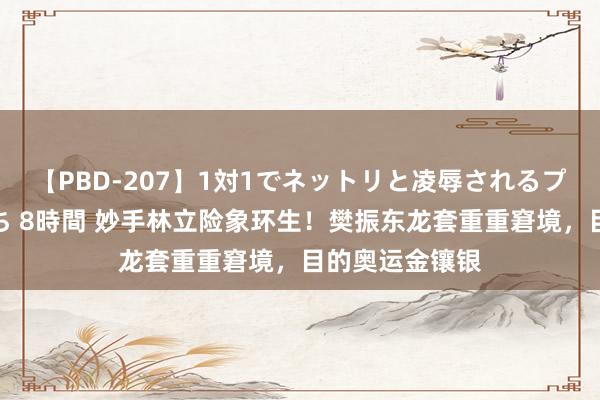 【PBD-207】1対1でネットリと凌辱されるプレミア女優たち 8時間 妙手林立险象环生！樊振东龙套重重窘境，目的奥运金镶银