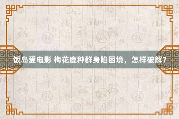 饭岛爱电影 梅花鹿种群身陷困境，怎样破解？