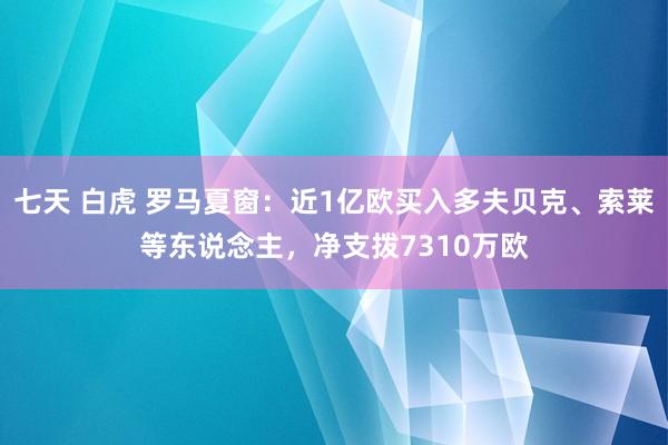 七天 白虎 罗马夏窗：近1亿欧买入多夫贝克、索莱等东说念主，净支拨7310万欧