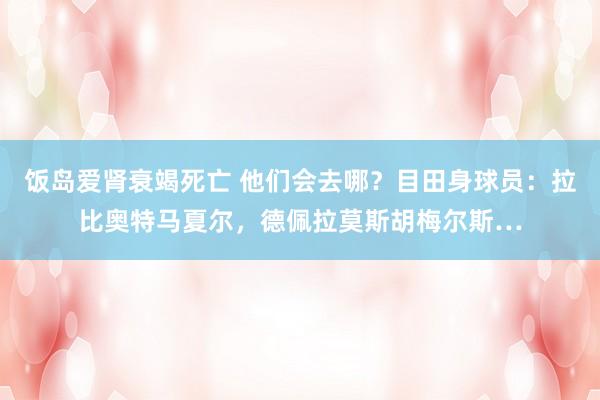 饭岛爱肾衰竭死亡 他们会去哪？目田身球员：拉比奥特马夏尔，德佩拉莫斯胡梅尔斯…