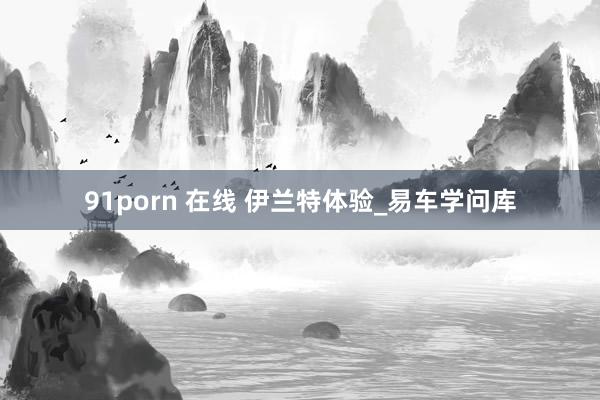 91porn 在线 伊兰特体验_易车学问库