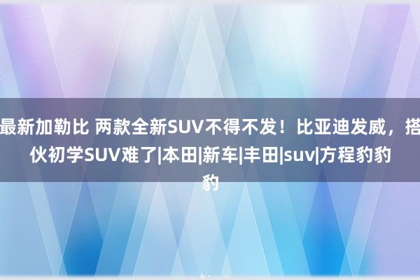 最新加勒比 两款全新SUV不得不发！比亚迪发威，搭伙初学SUV难了|本田|新车|丰田|suv|方程豹豹