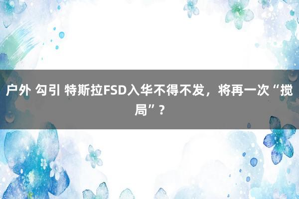 户外 勾引 特斯拉FSD入华不得不发，将再一次“搅局”？