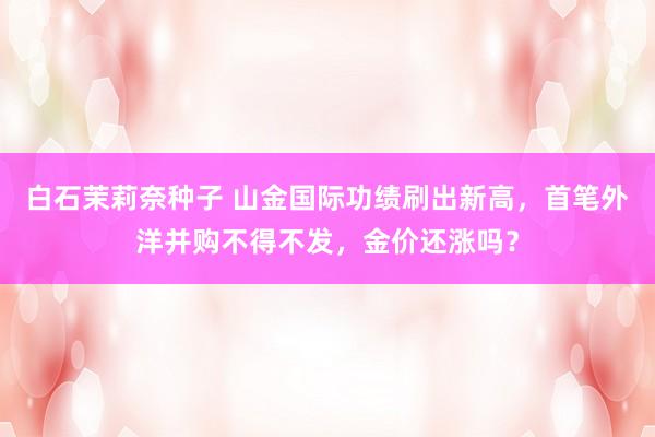 白石茉莉奈种子 山金国际功绩刷出新高，首笔外洋并购不得不发，金价还涨吗？