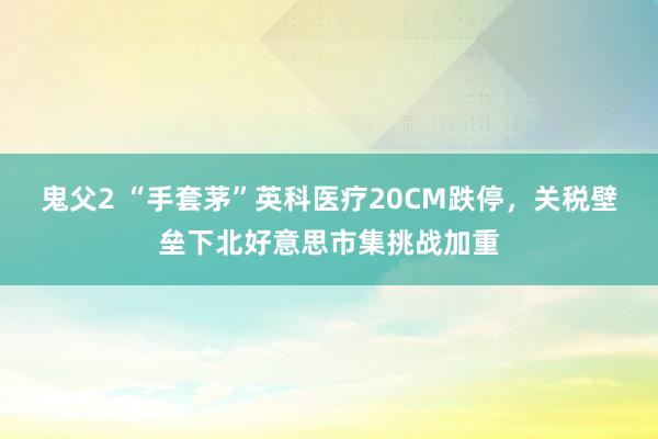 鬼父2 “手套茅”英科医疗20CM跌停，关税壁垒下北好意思市集挑战加重