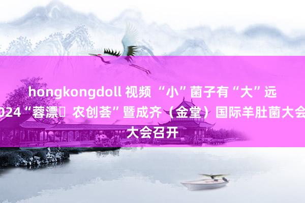 hongkongdoll 视频 “小”菌子有“大”远景 2024“蓉漂･农创荟”暨成齐（金堂）国际羊肚菌大会召开